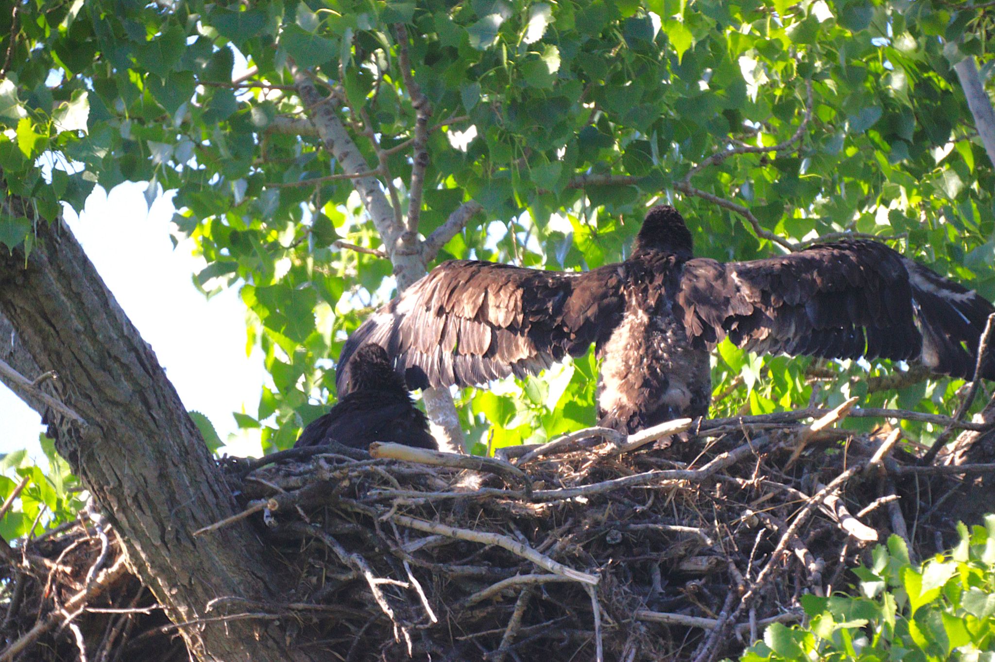 Community photo by Randy Strauss | Eagle Ridge Park, Nebraska