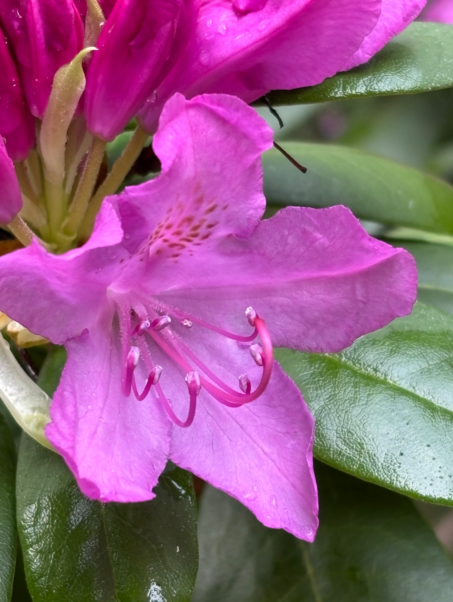 Community photo by Kalyanii