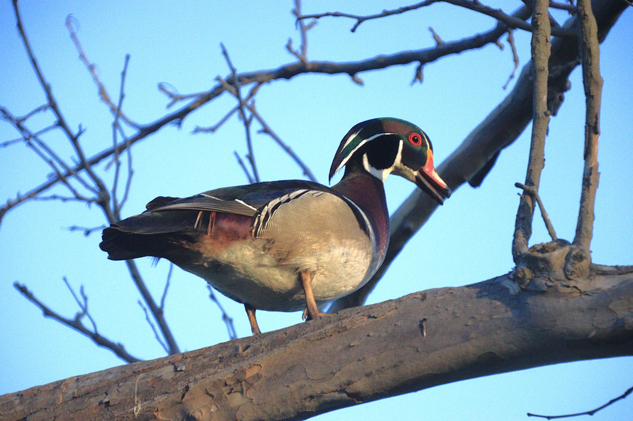 Community photo by Randy