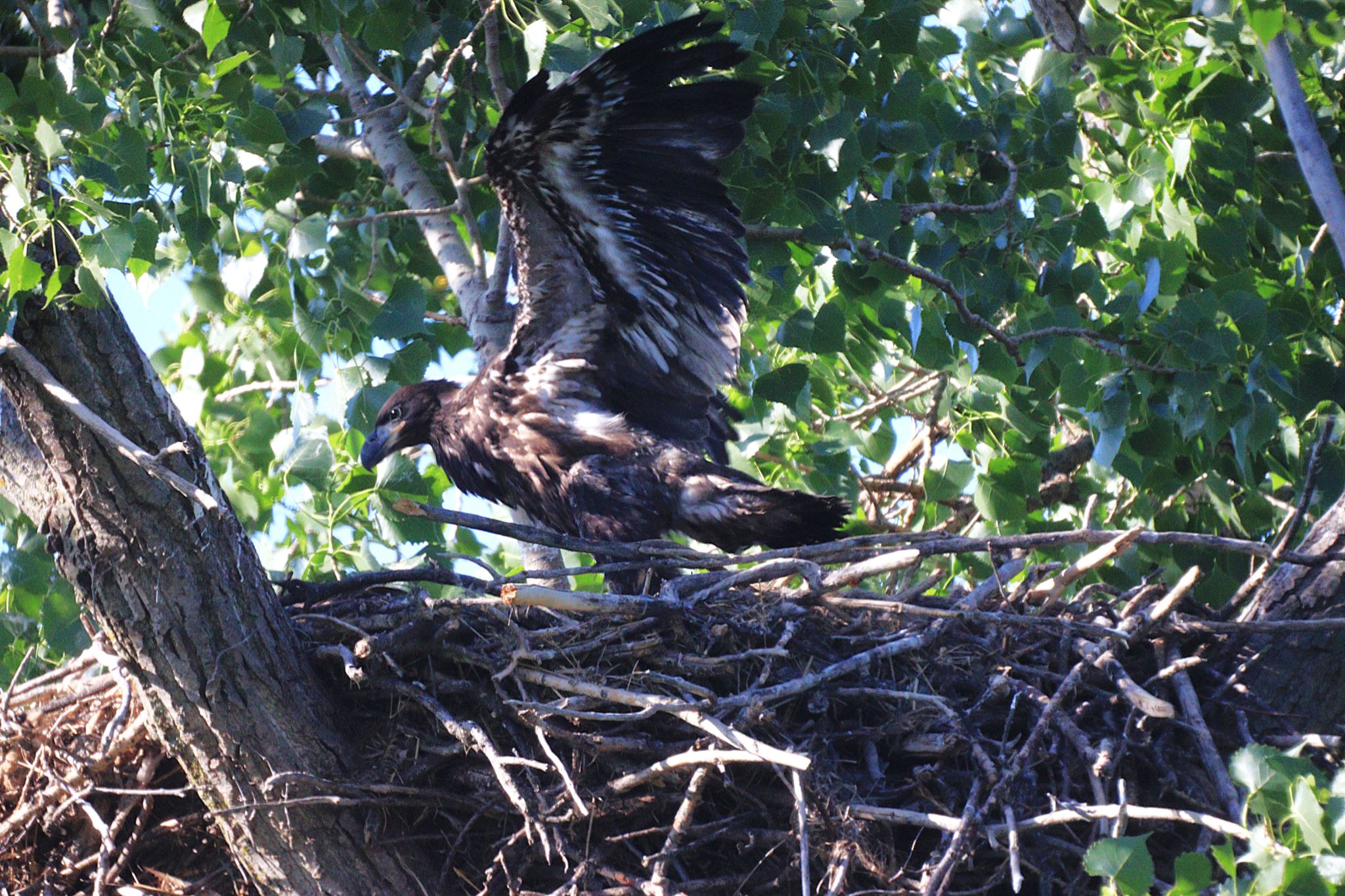 Community photo by Randy