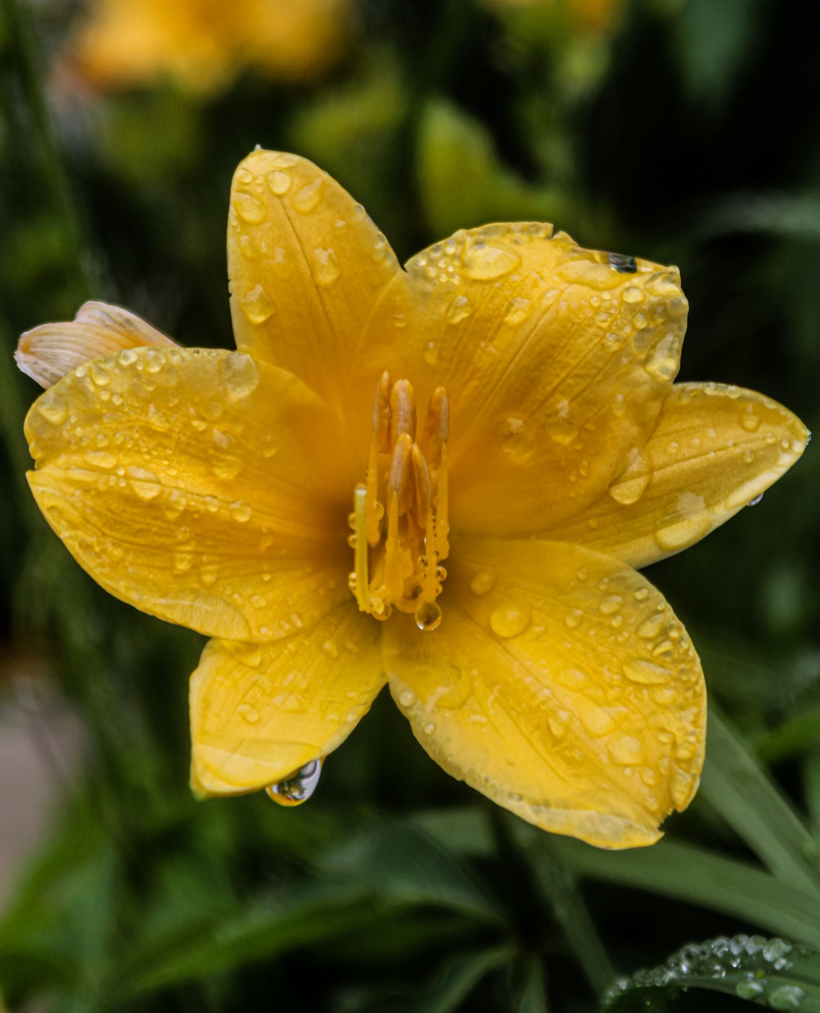 Community photo by Jean