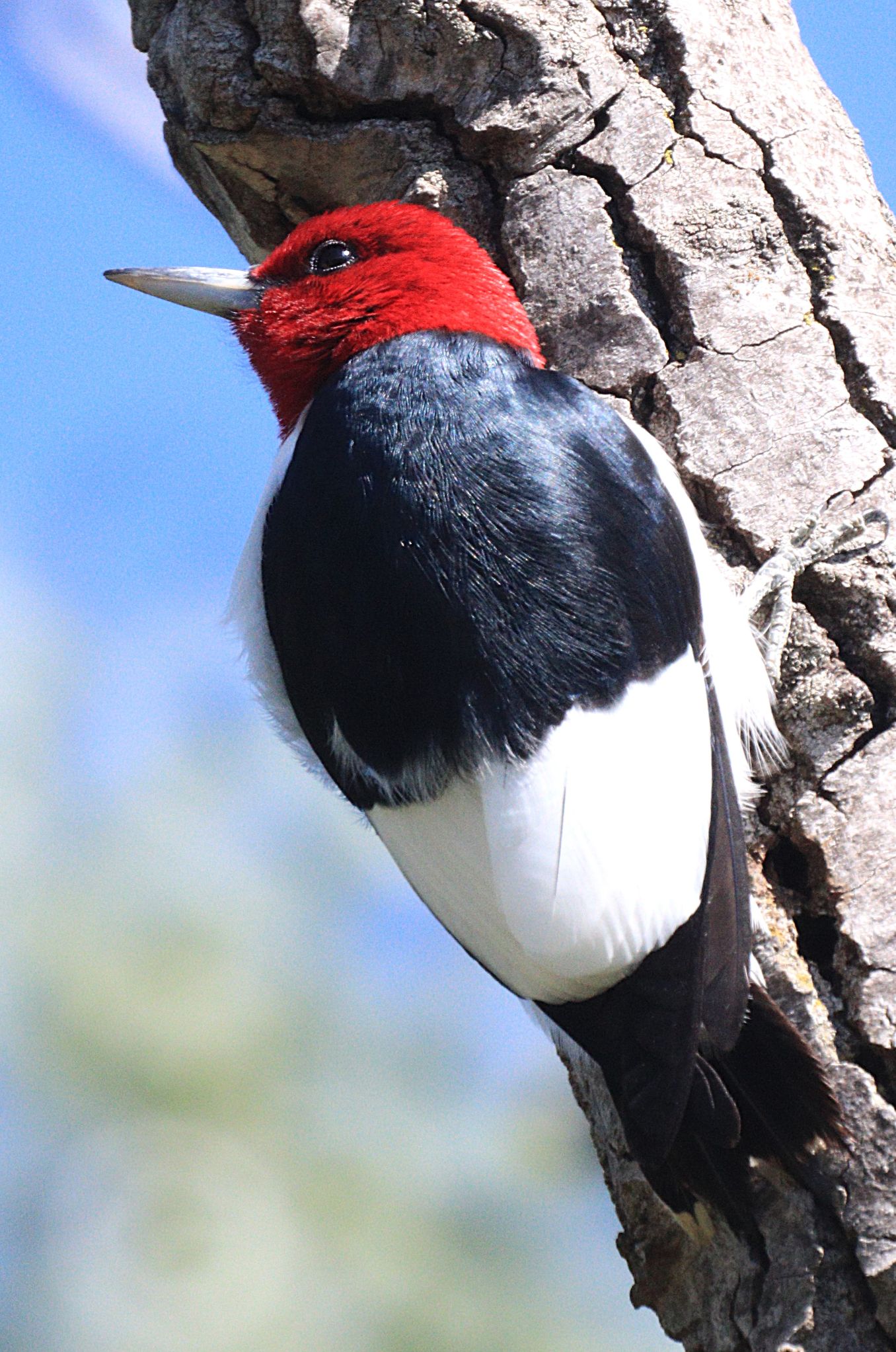 Community photo by Randy