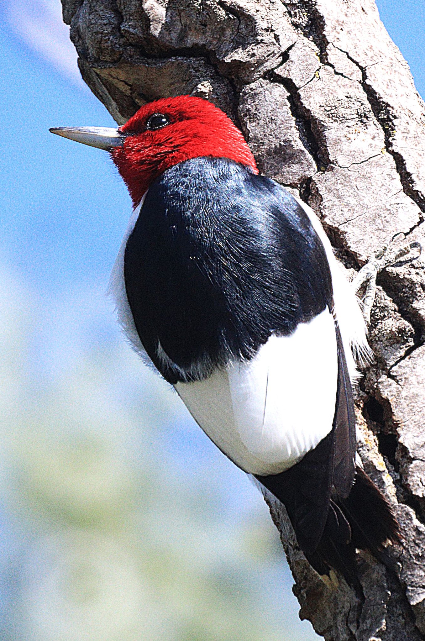 Community photo by Randy