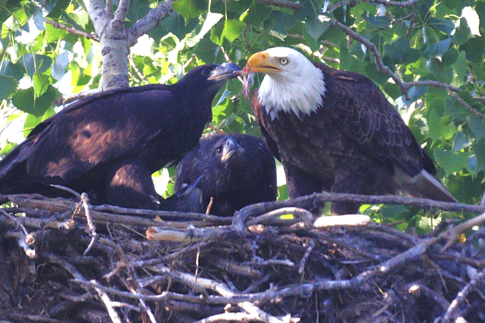 Community photo by Randy