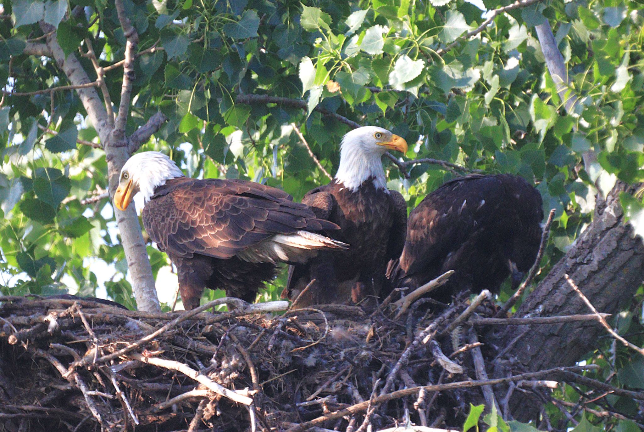 Community photo by Randy