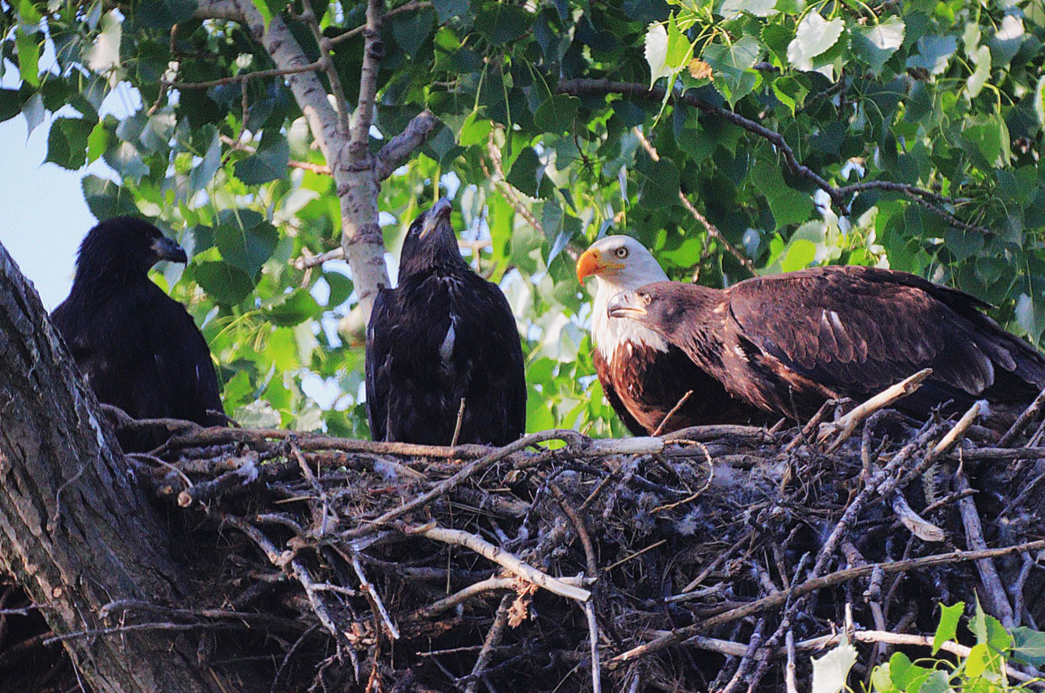 Community photo by Randy