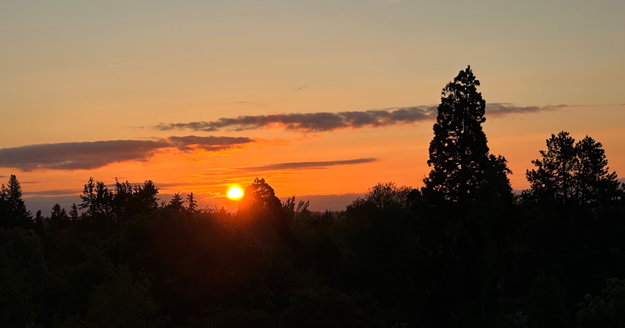 Community photo by Victoria