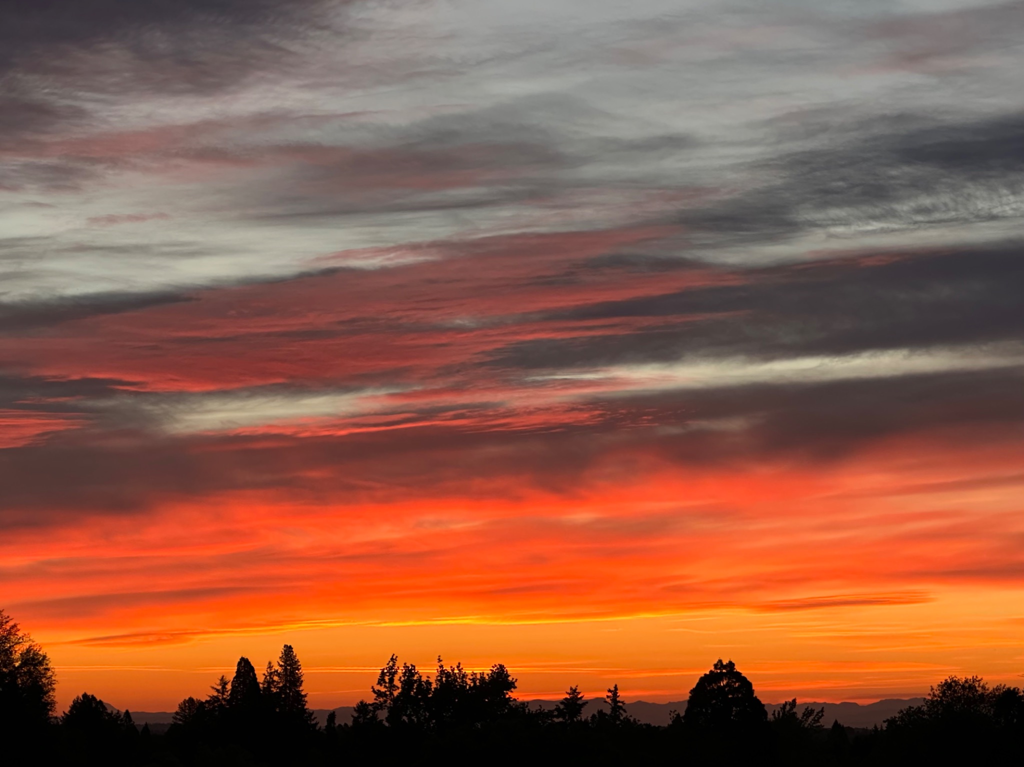 Community photo by Victoria