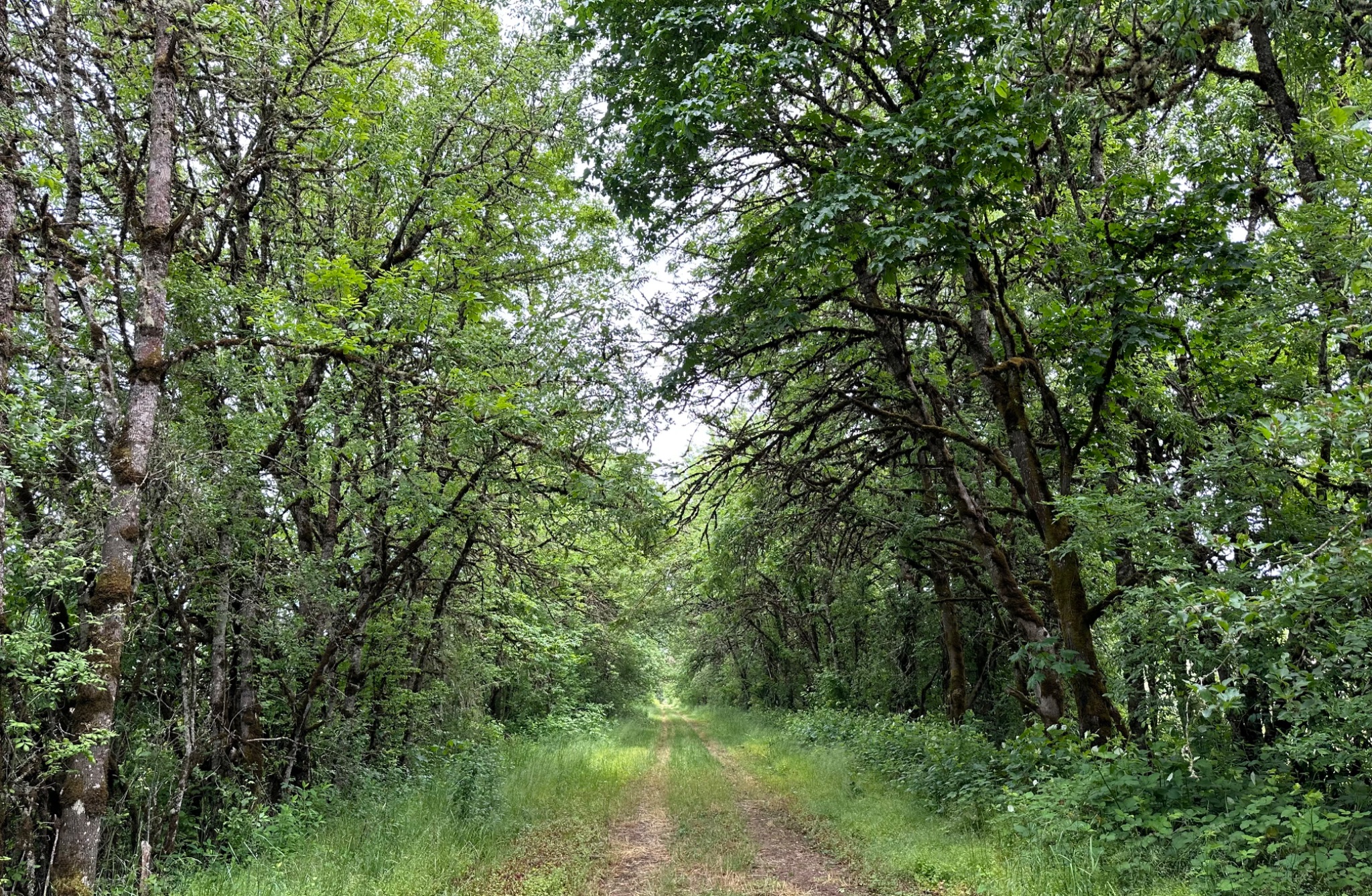 Community photo by Victoria Bryhan | Finley NWR, Corvallis, Oregon