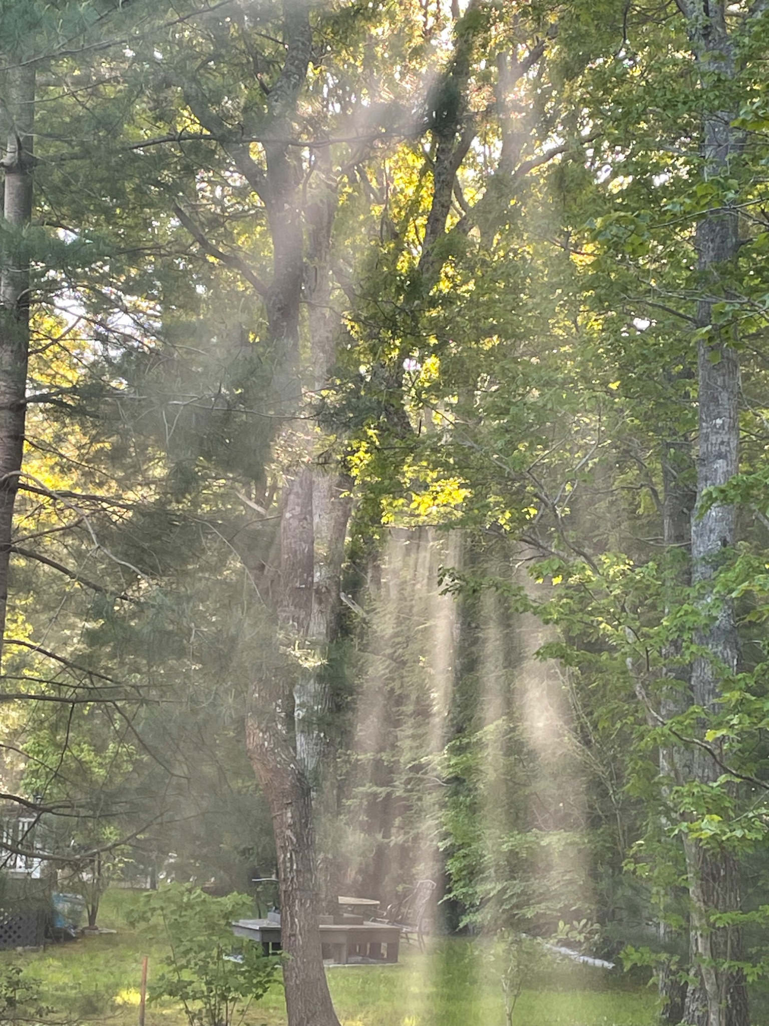 Community photo by Mohamed Zefzaf | Mashpee, Massachusetts, USA
