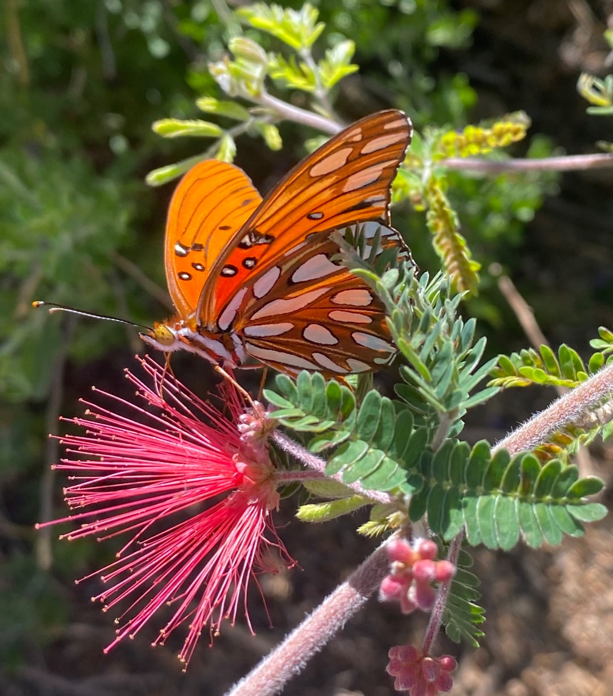 Community photo by Rick