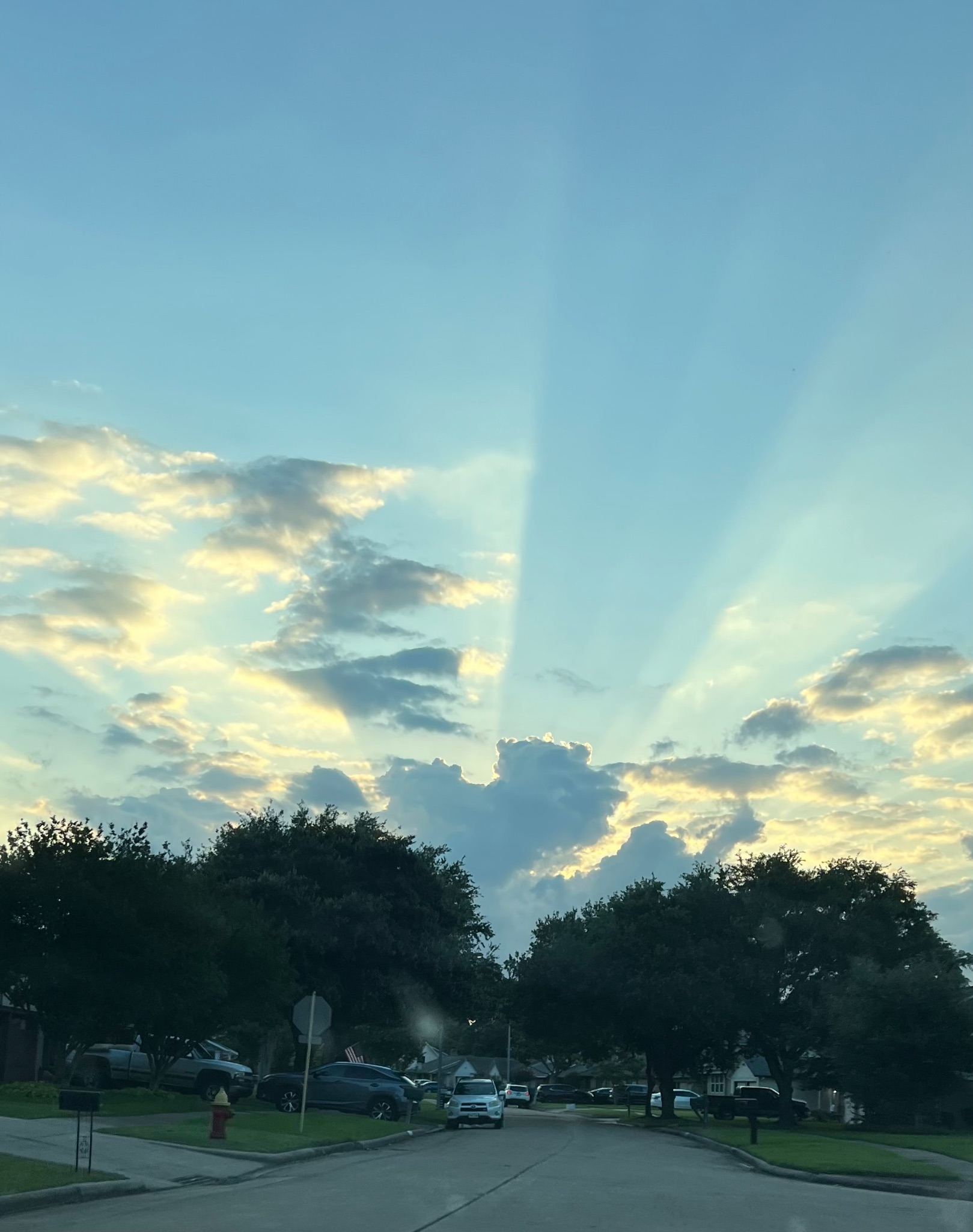 Community photo by Joanne Lemmons | Southwest Houston