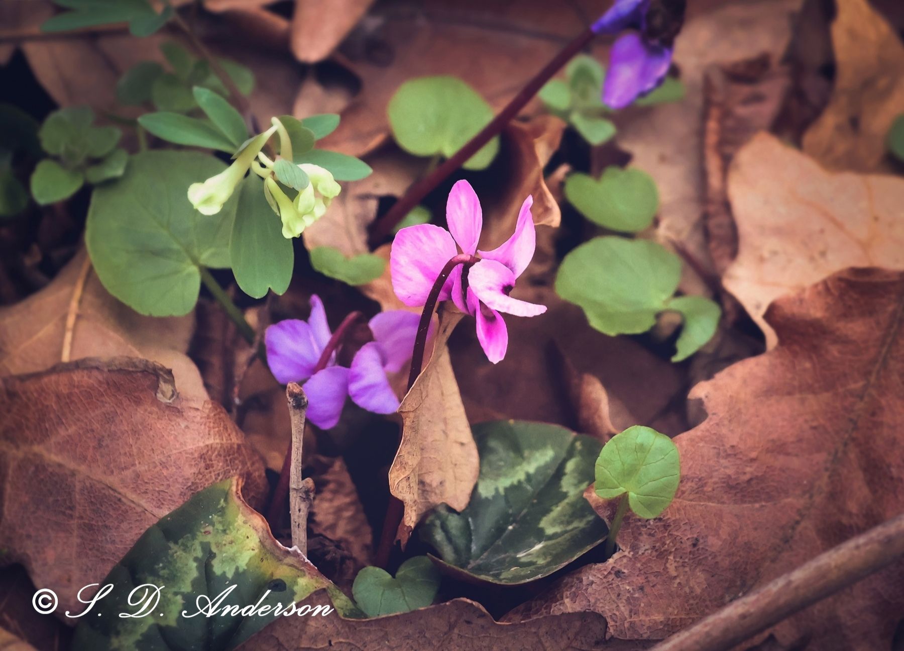 Community photo by Samantha Anderson | Bulgaria