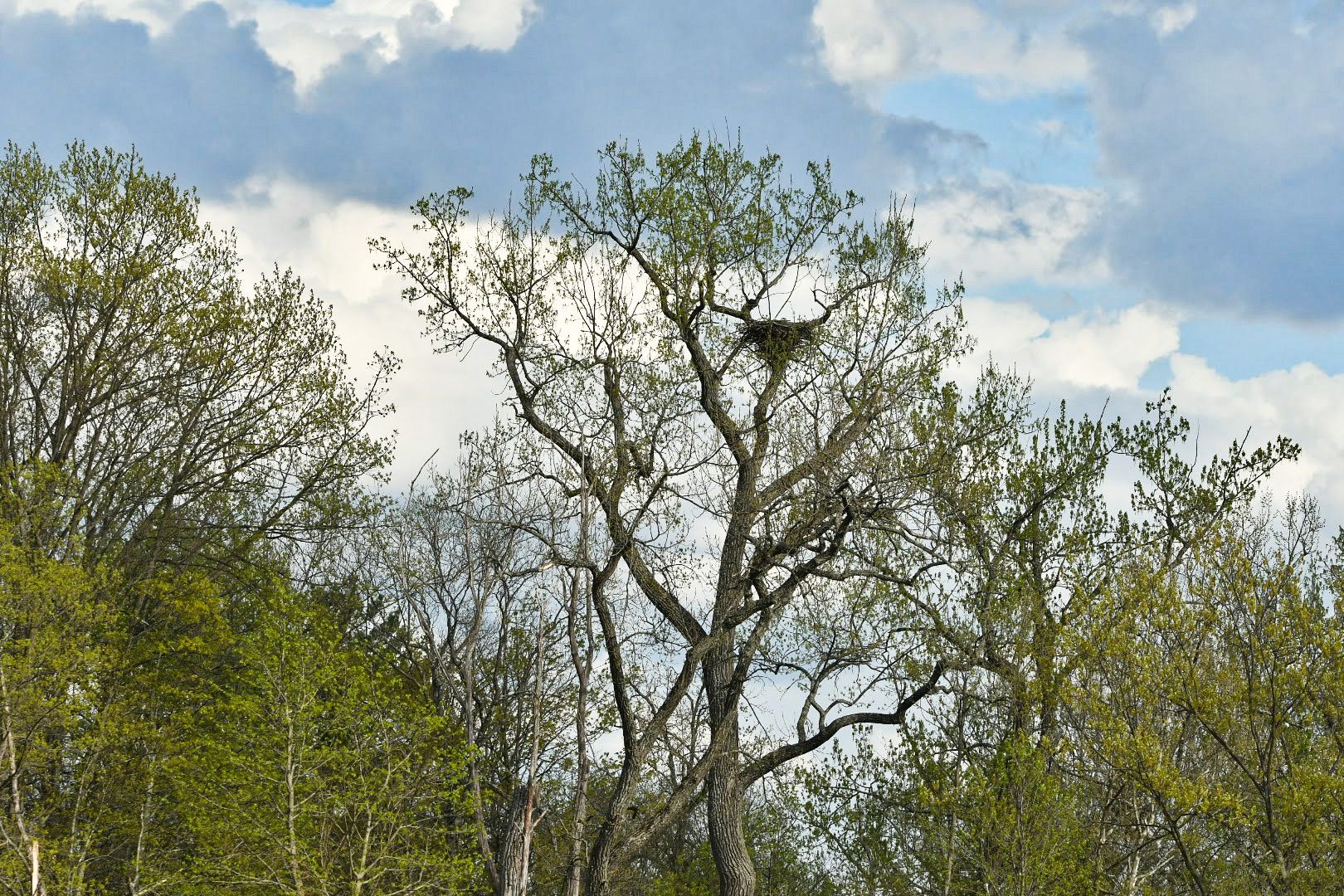 Community photo by Lorraine Boyd | Ravena, New York