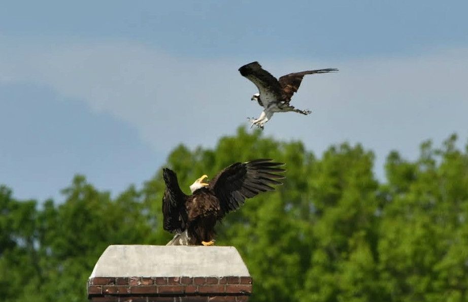 Community photo by Lorraine Boyd | Mechanicville, New York