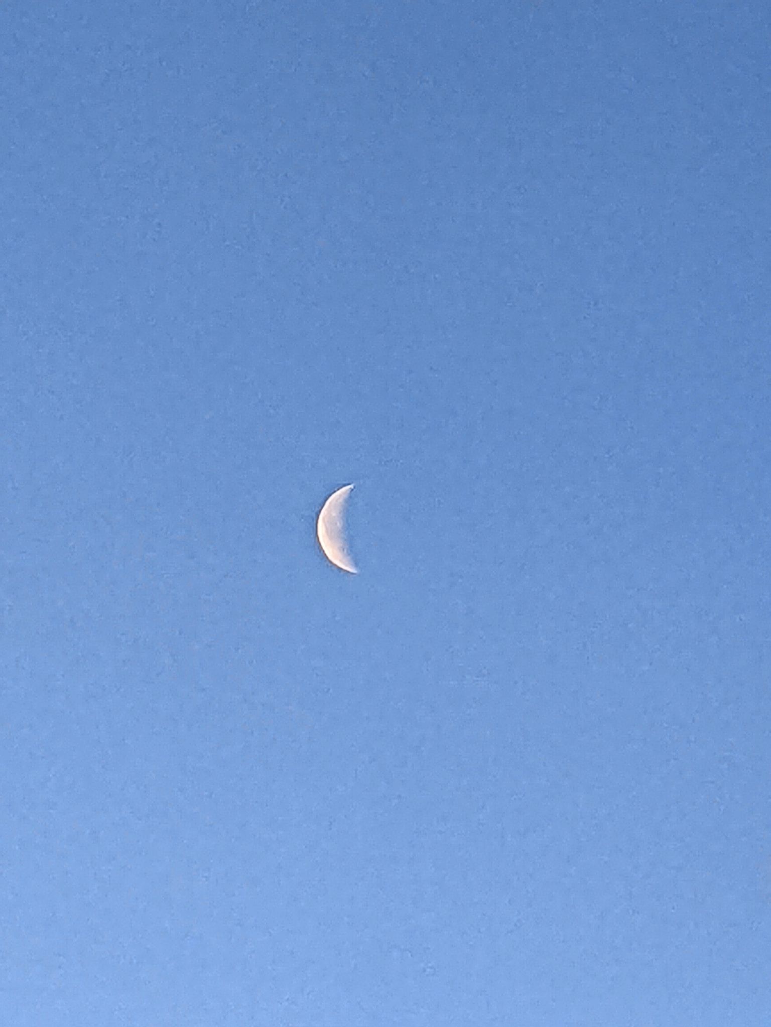 Community photo by Kevan