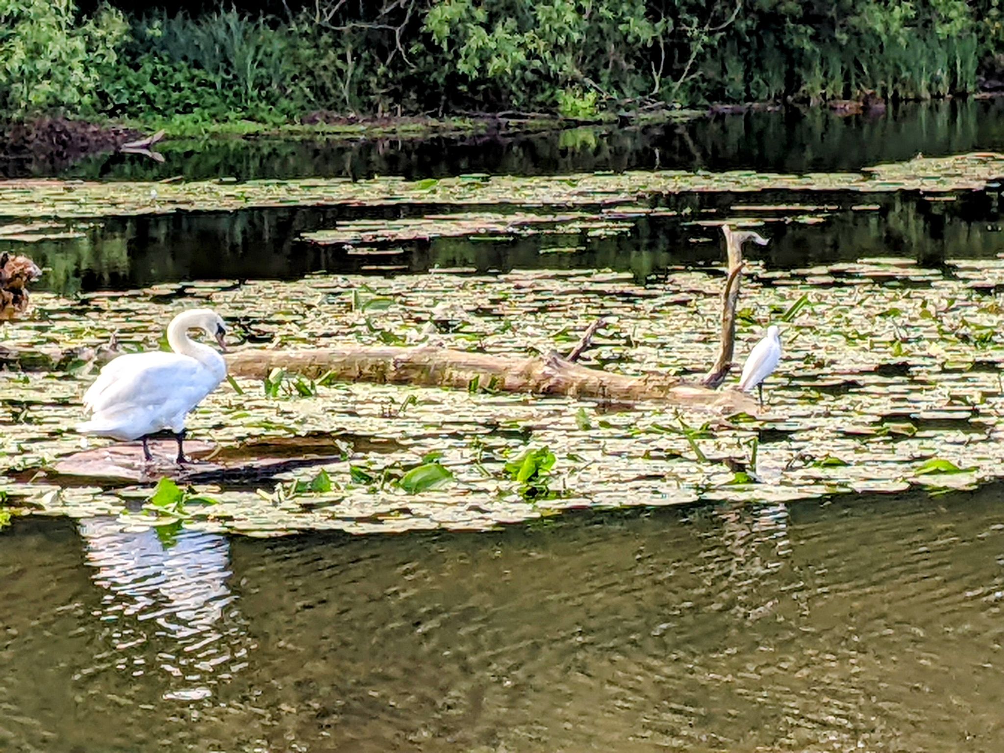 Community photo by Kevan