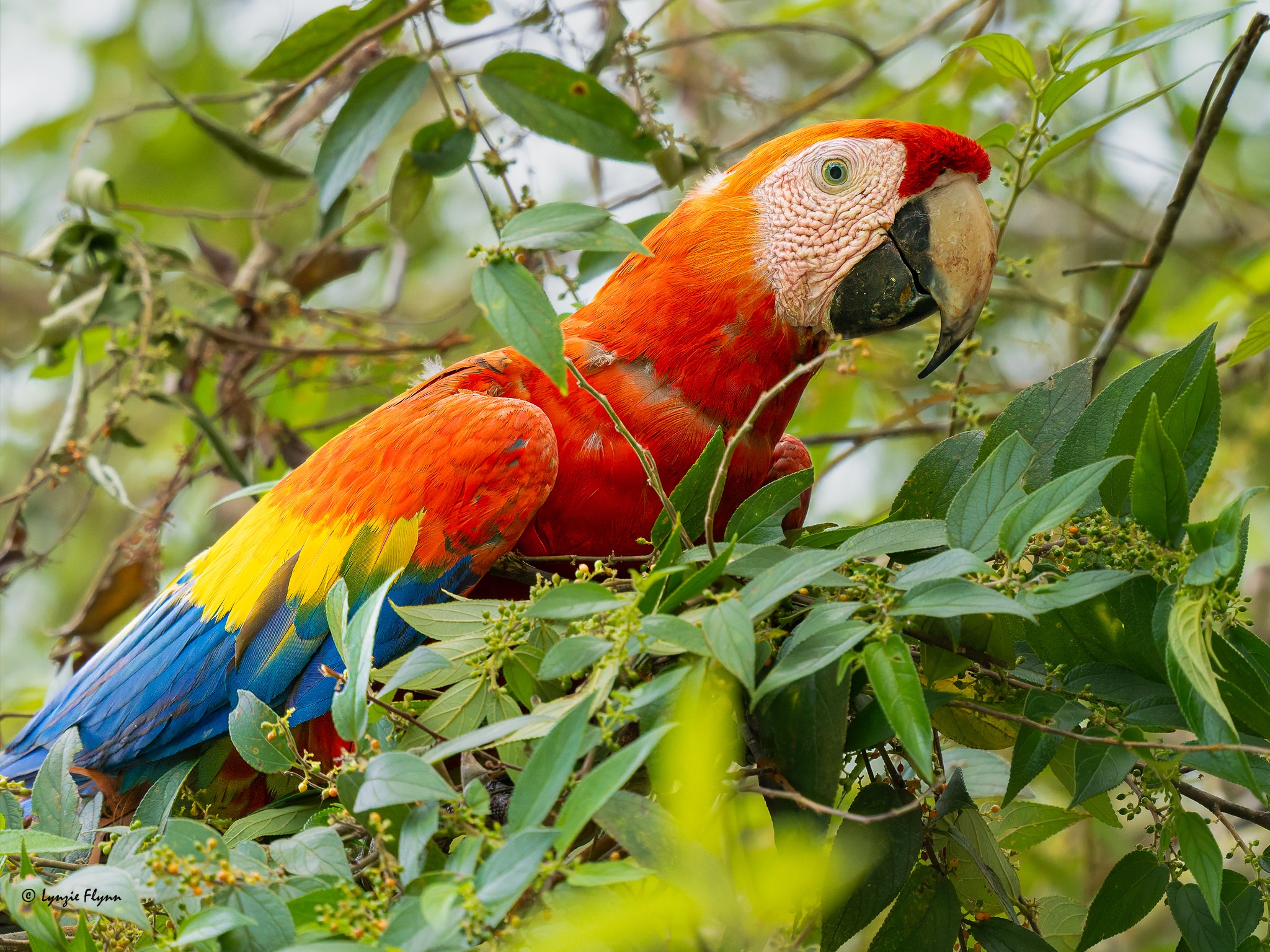 Community photo by Lynzie Flynn | Costa Rica
