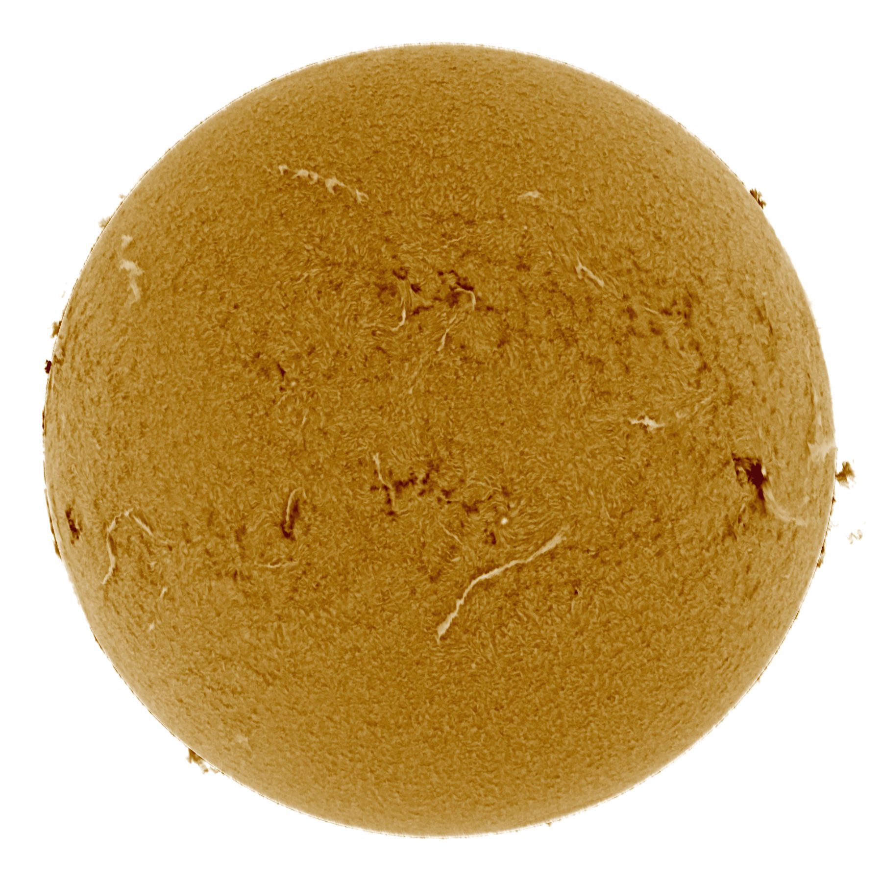 Community photo entitled  by Mario Rana on 05/25/2025 at Hampton, Virginia