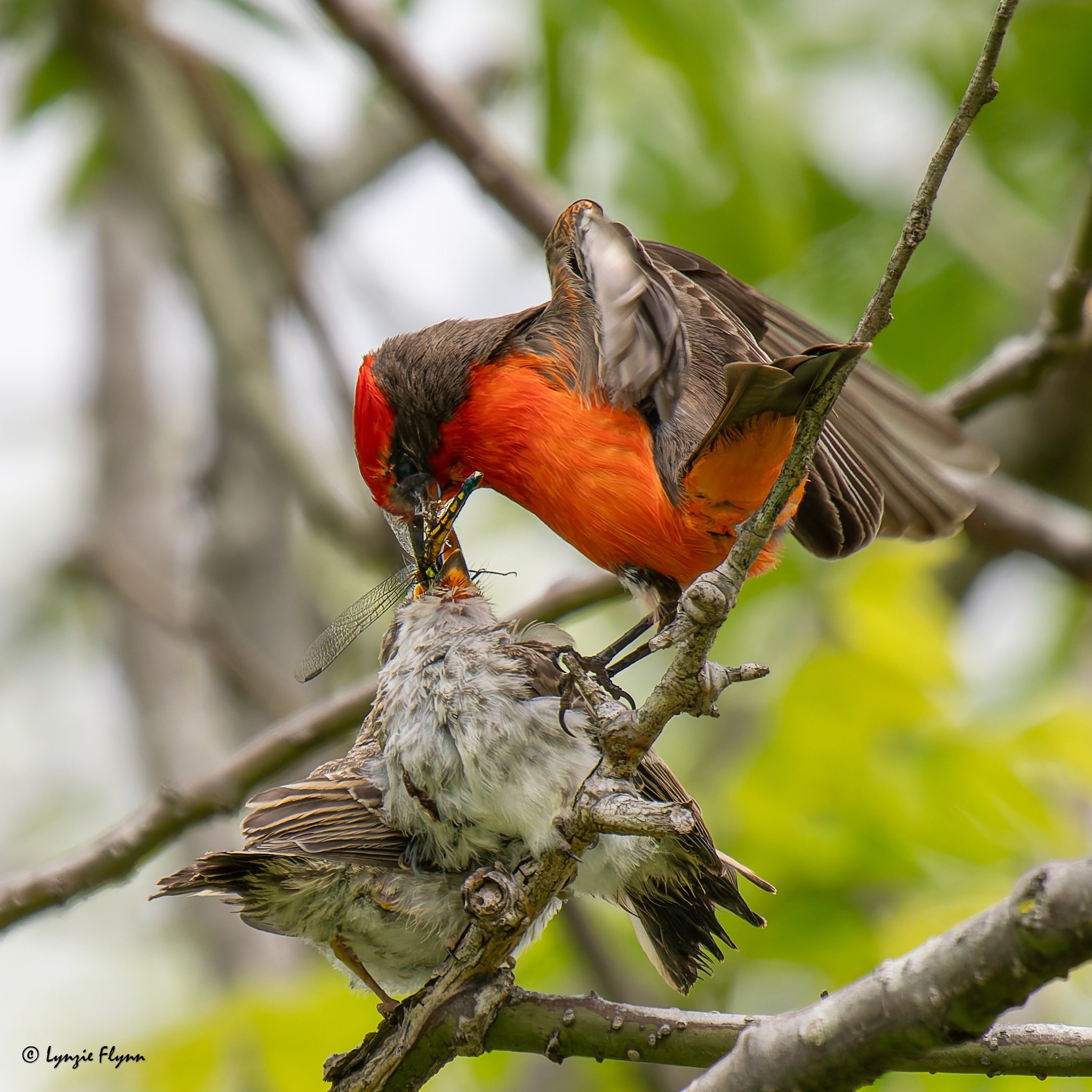 Community photo by Lynzie Flynn | Huntington Beach, California USA
