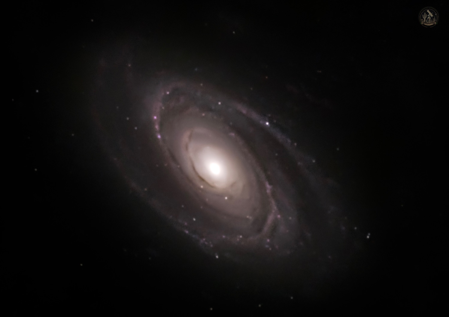 Community photo by Jelieta Walinski Ph.D | Desert Bloom Observatory, AZ, USA