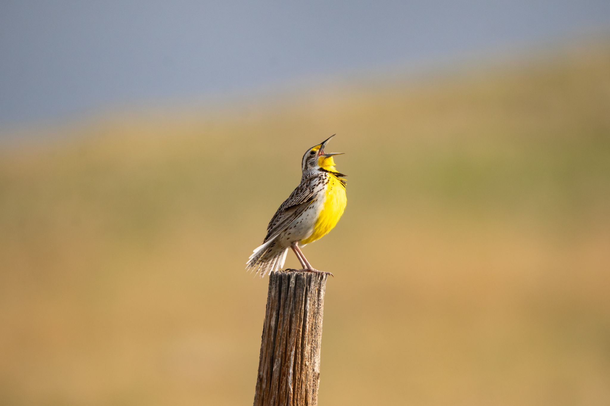 Community photo by Jeremy