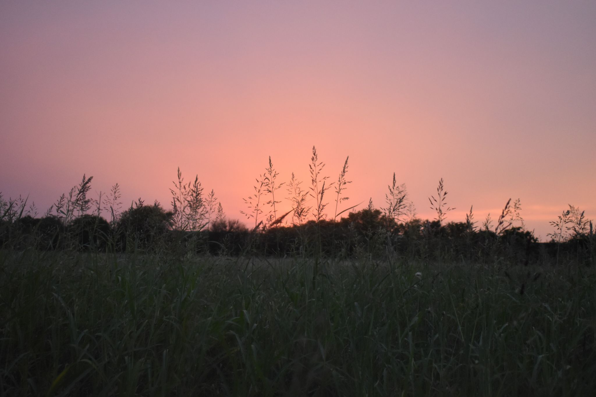 Community photo by James Gaulding | New Braunfels, Texas, U.S.A.
