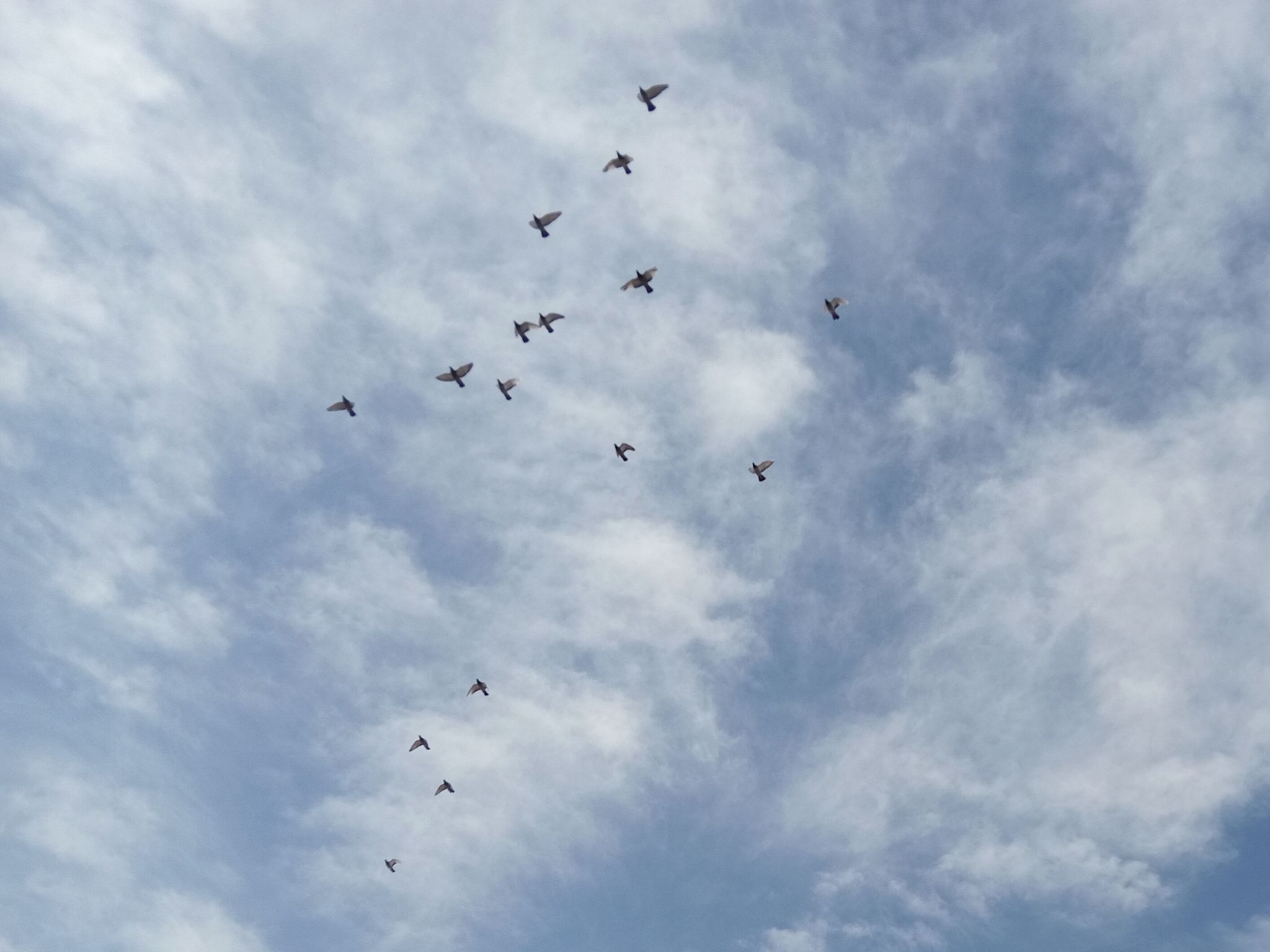 Community photo by Hassan