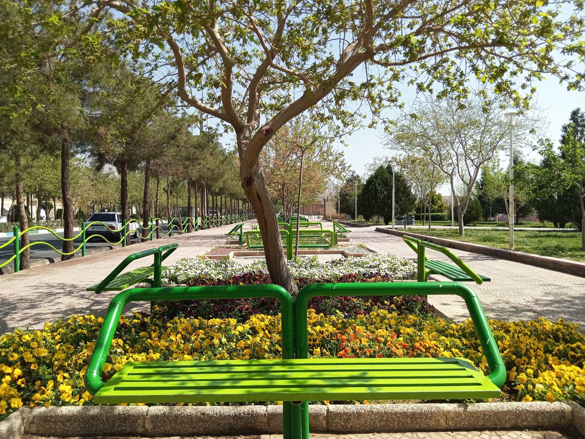 Community photo by Hassan