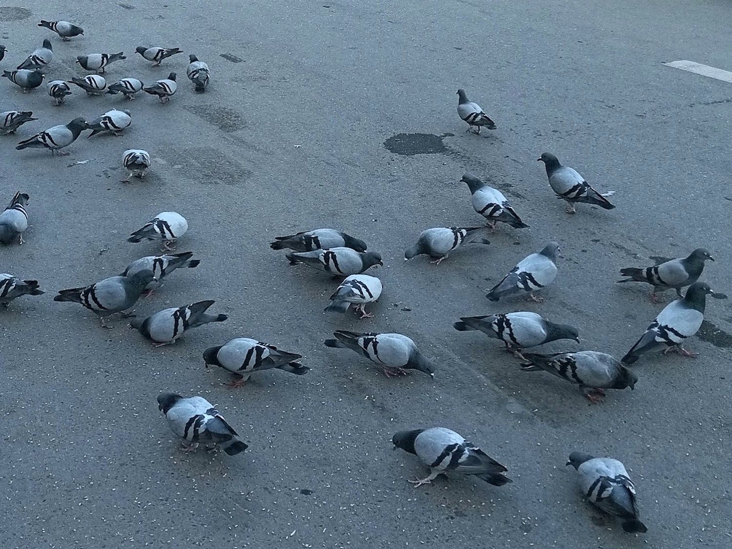 Community photo by Hassan