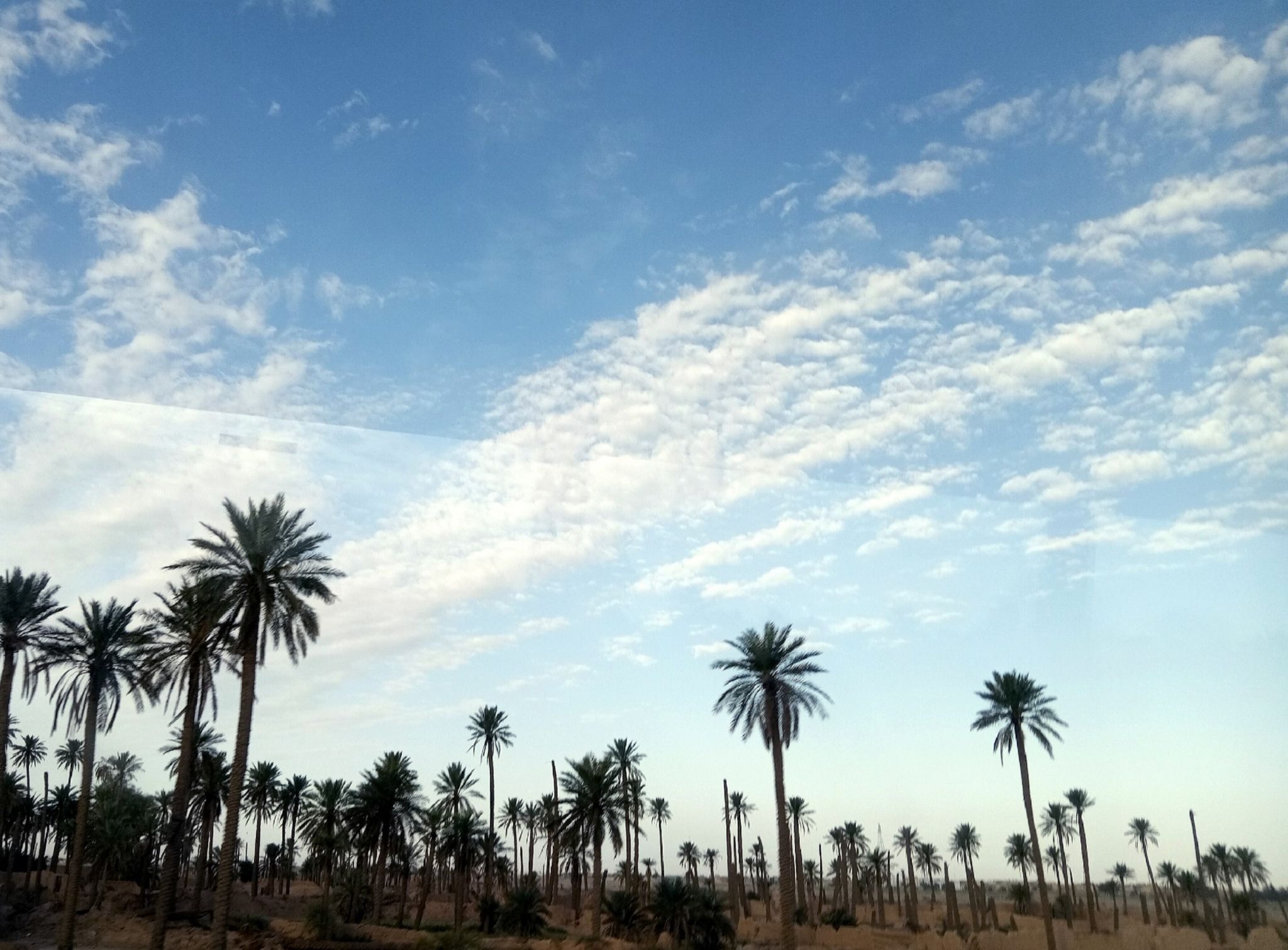 Community photo by Hassan