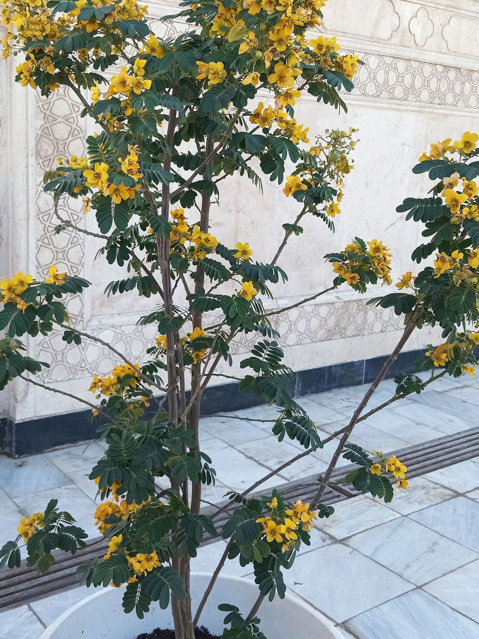 Community photo by Hassan