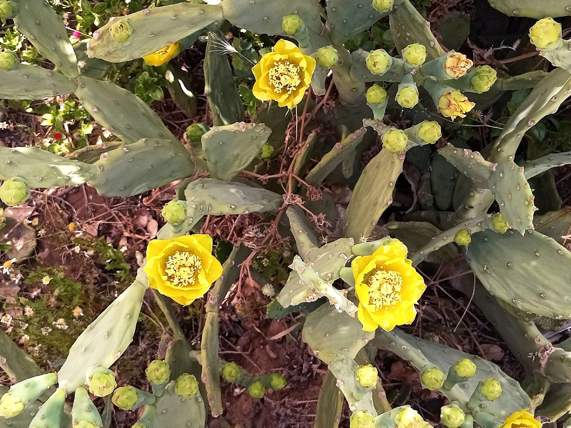 Community photo by Hassan