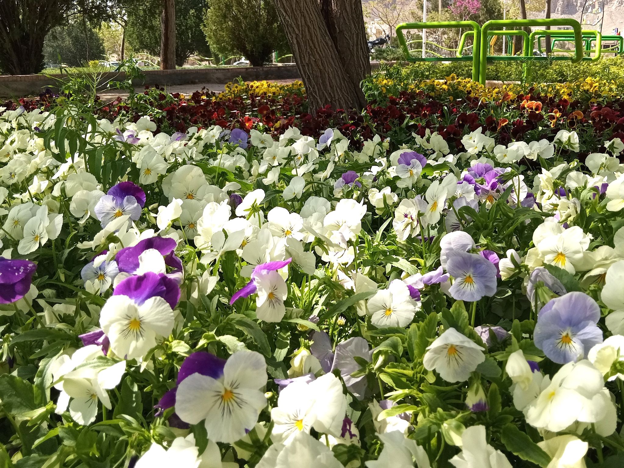 Community photo by Hassan