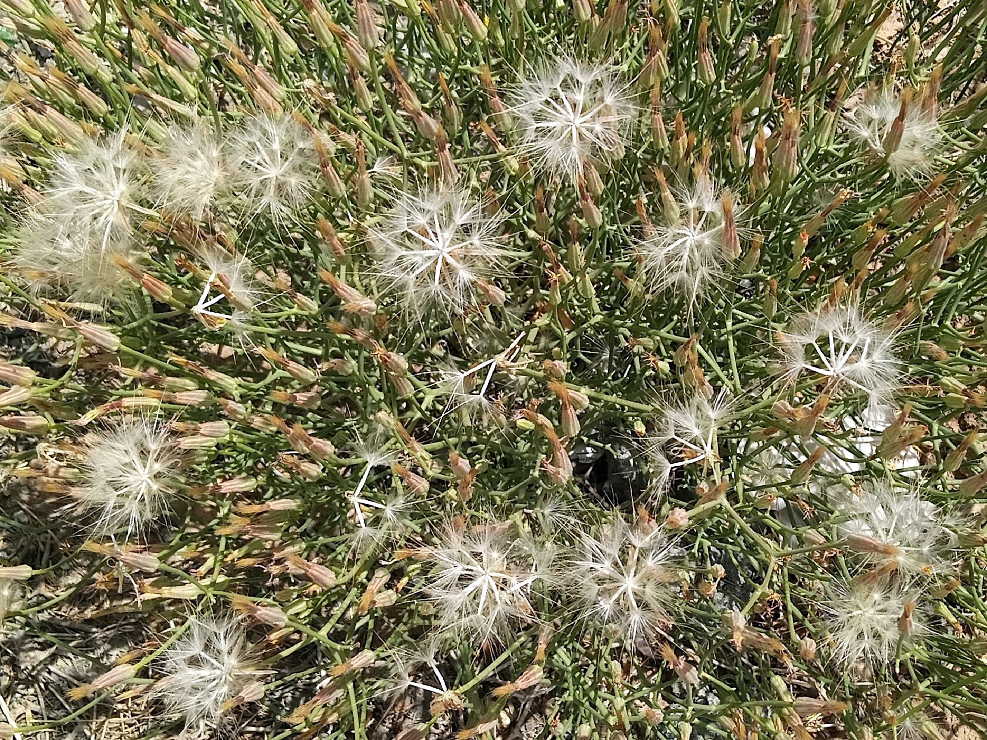 Community photo by Hassan