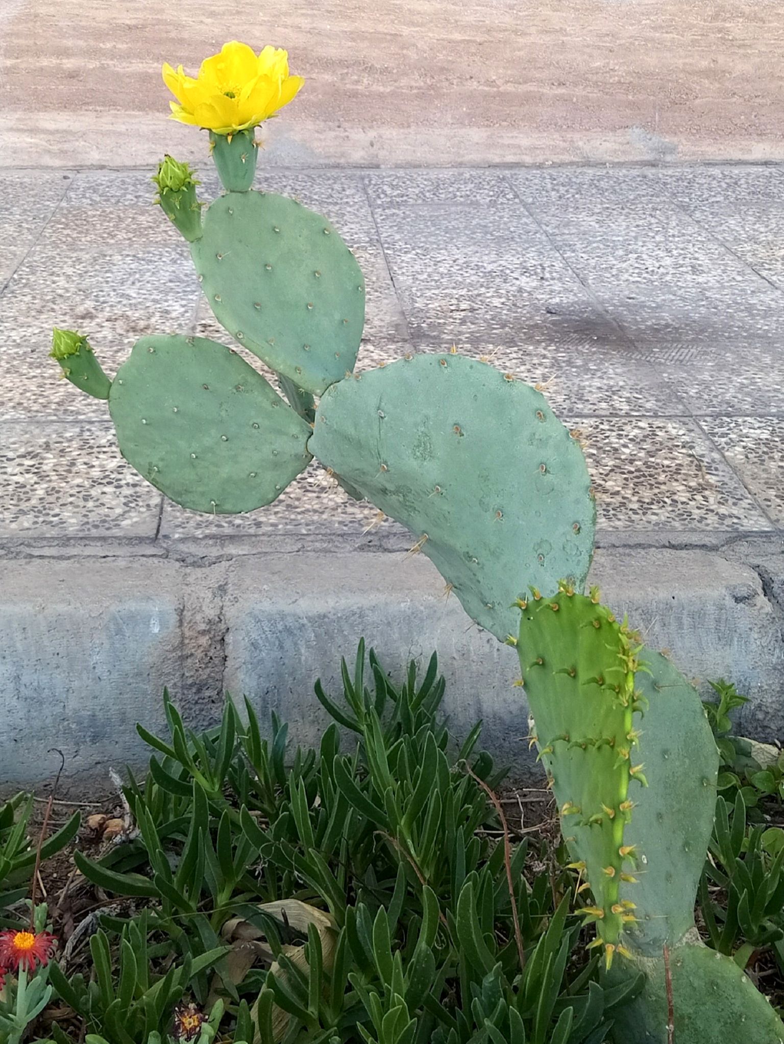 Community photo by Hassan