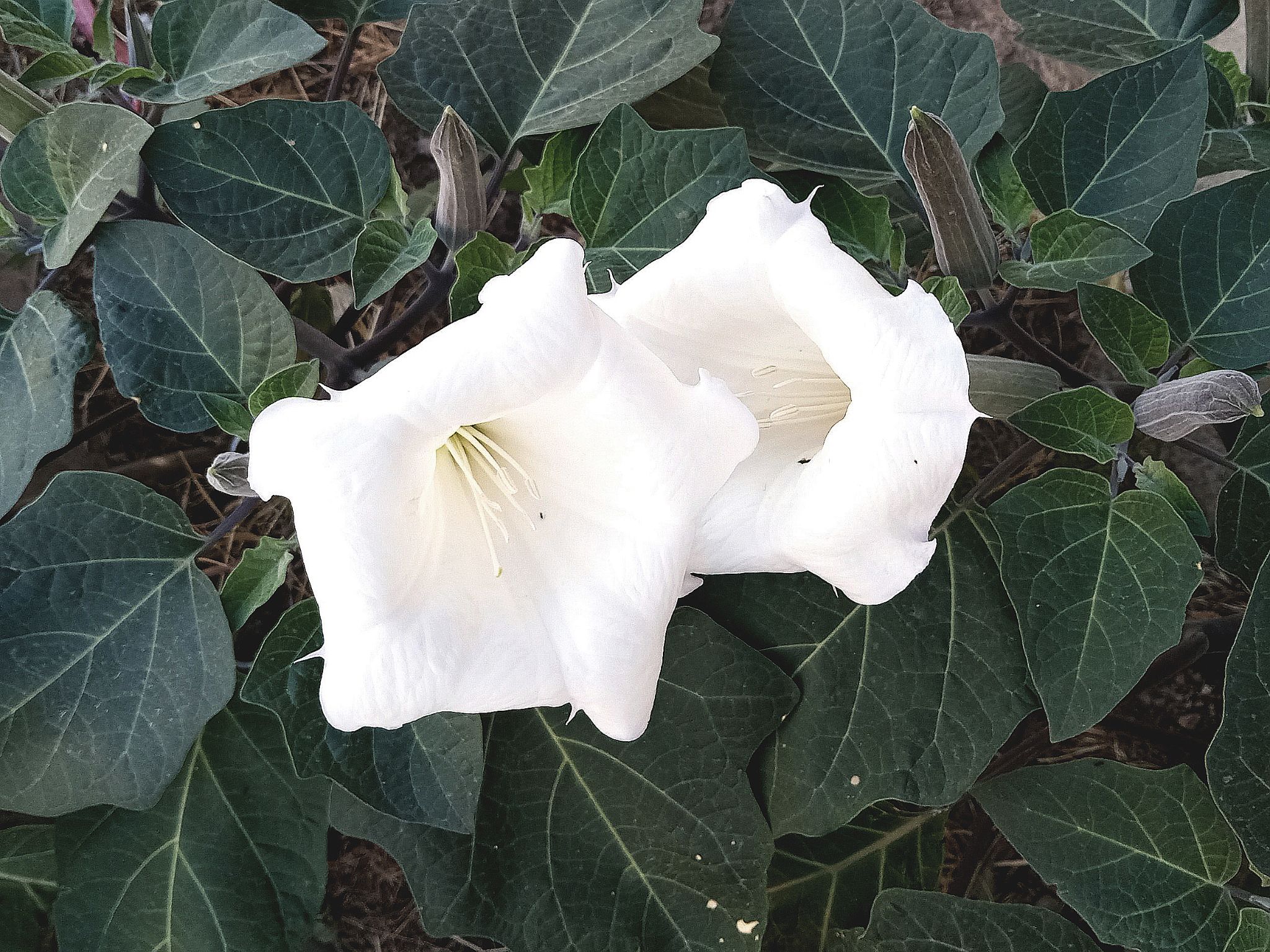 Community photo by Hassan