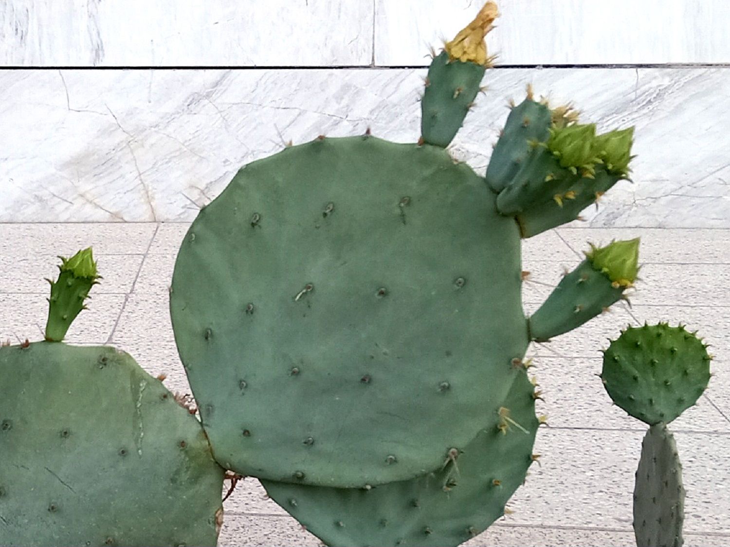 Community photo by Hassan