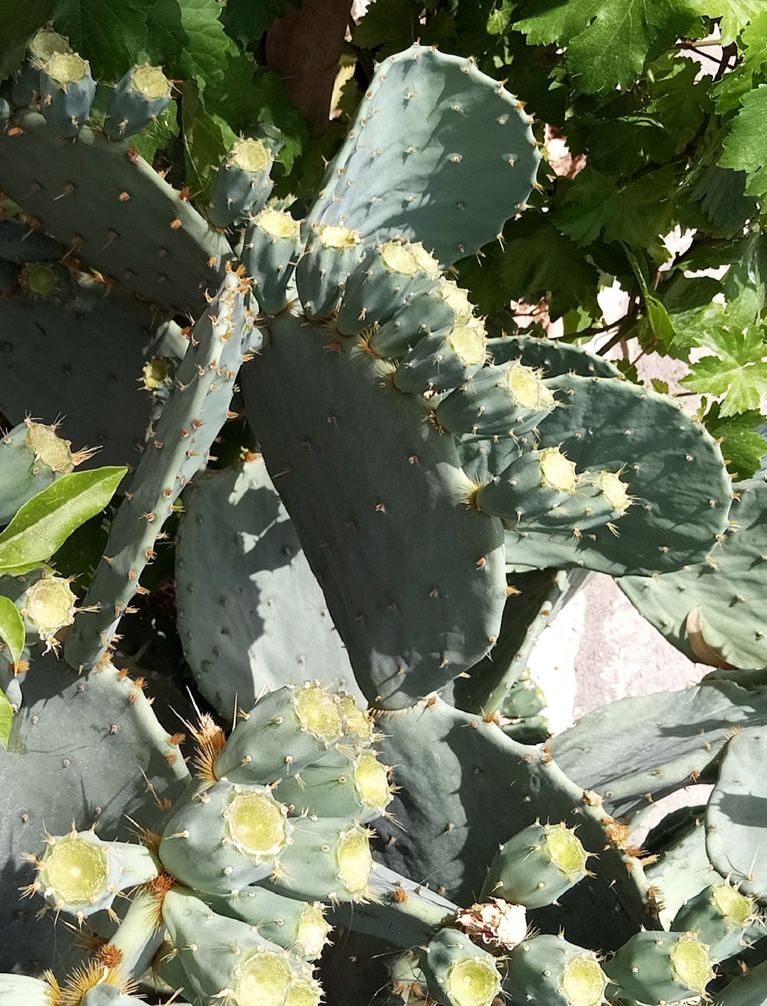 Community photo by Hassan