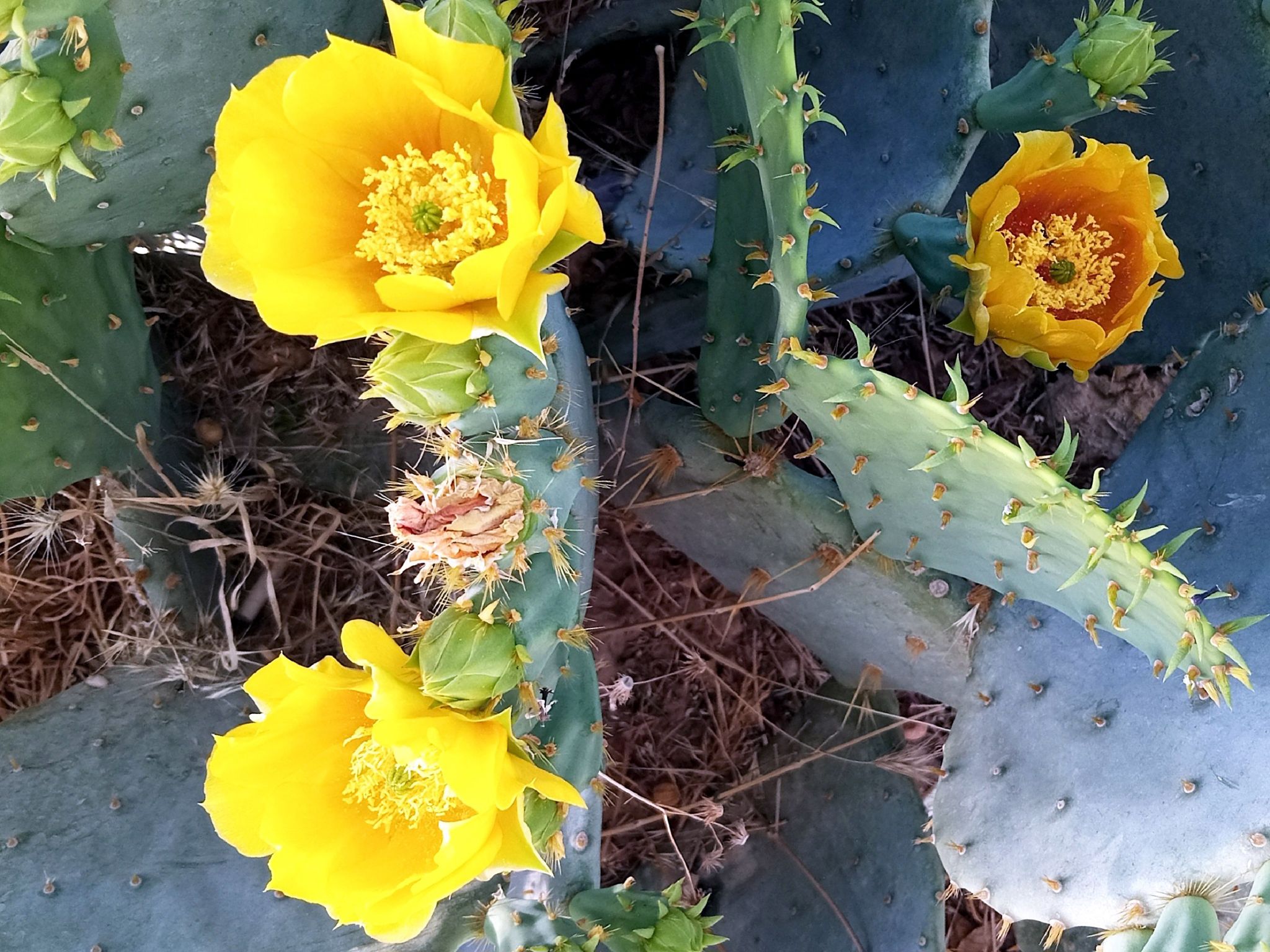 Community photo by Hassan