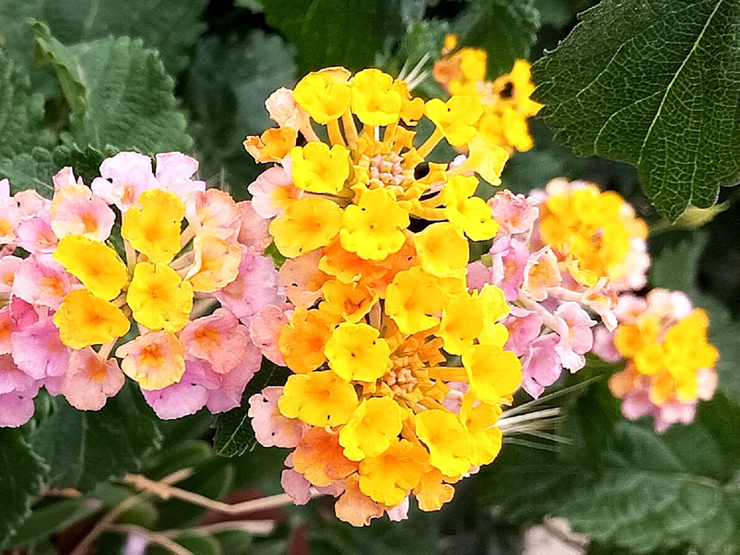 Community photo by Hassan