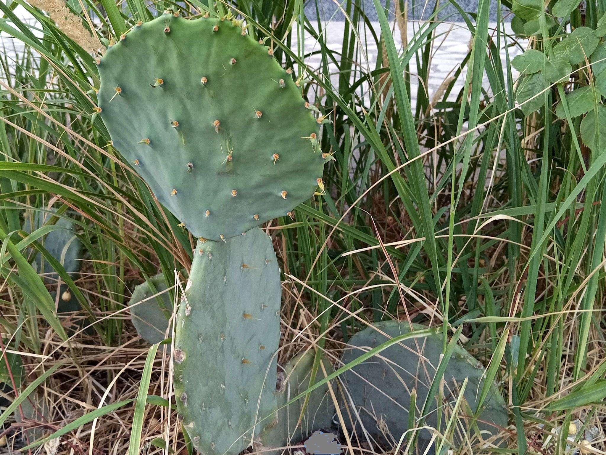 Community photo by Hassan