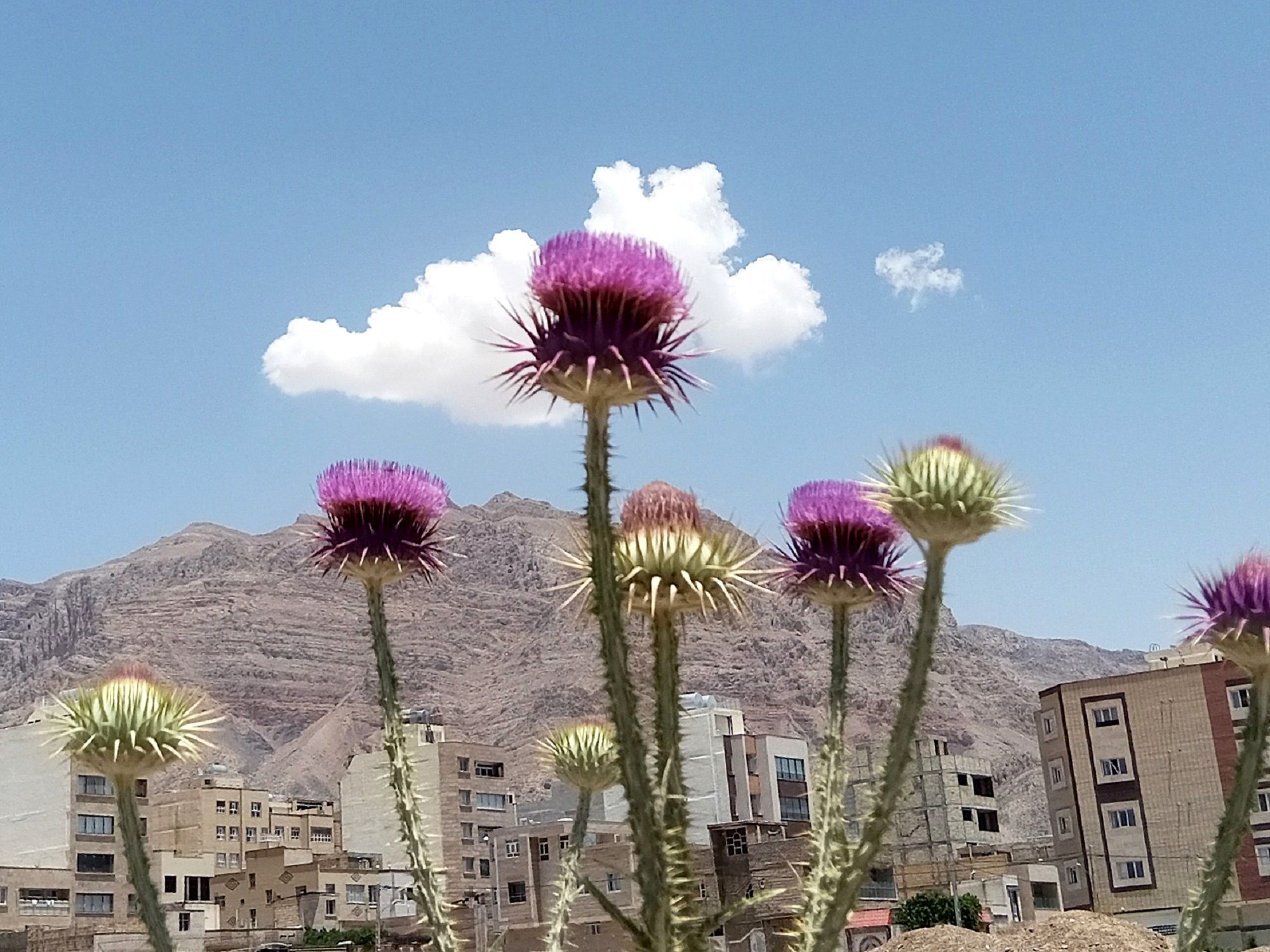 Community photo by Hassan