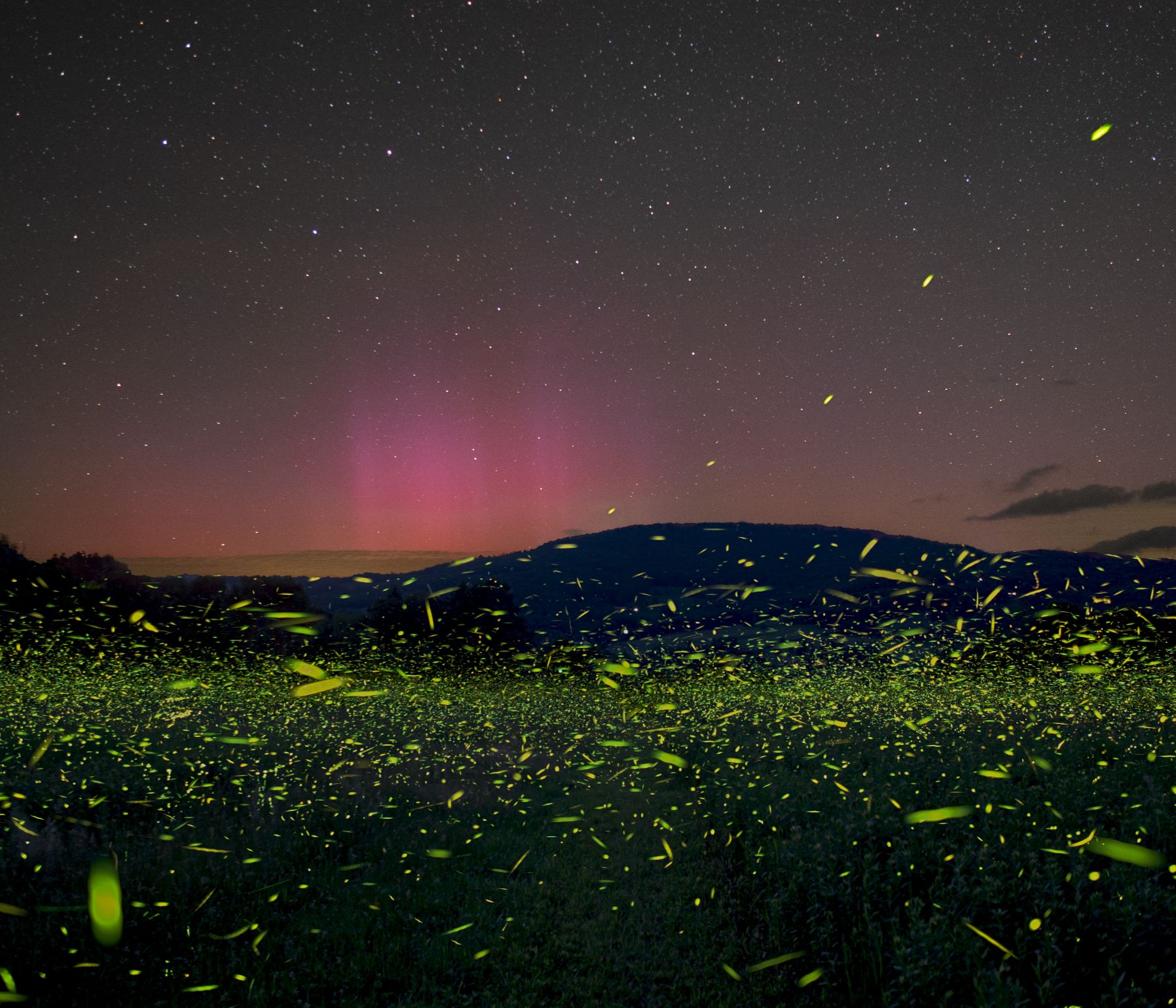Community photo by Garth Battista | Halcottsville NY (Catskill Mountains)
