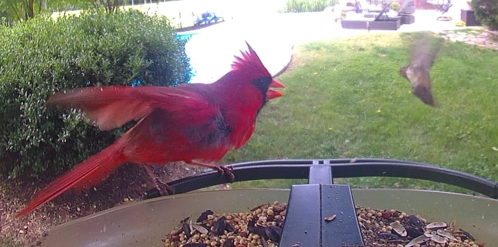 Community photo by Mark