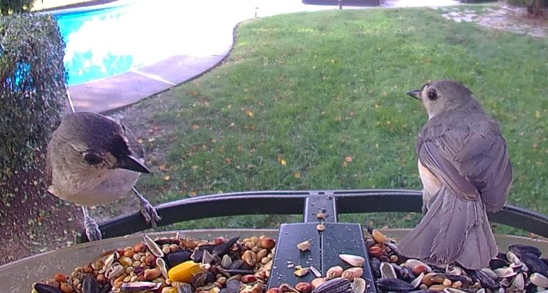 Community photo by Mark