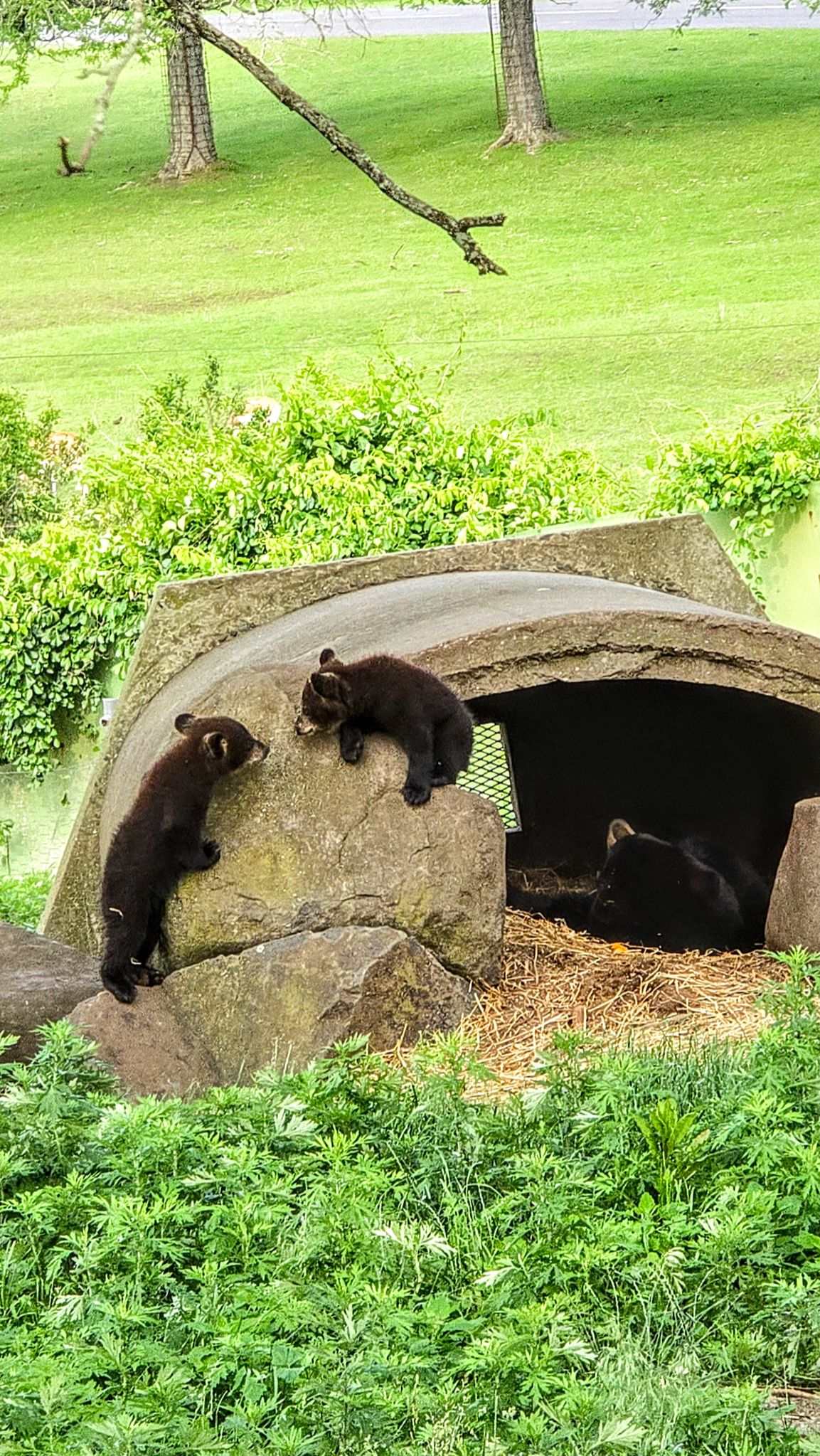 Community photo by Saranya J | New jersey