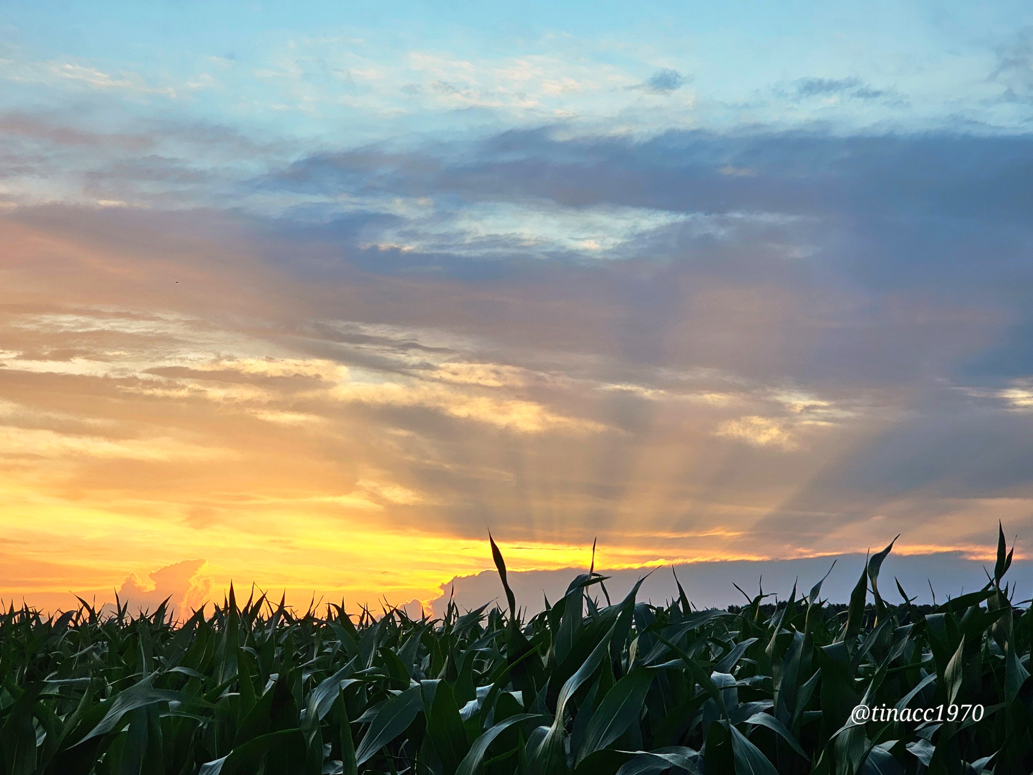 Community photo by Tina Chappell | Hertford, NC, USA