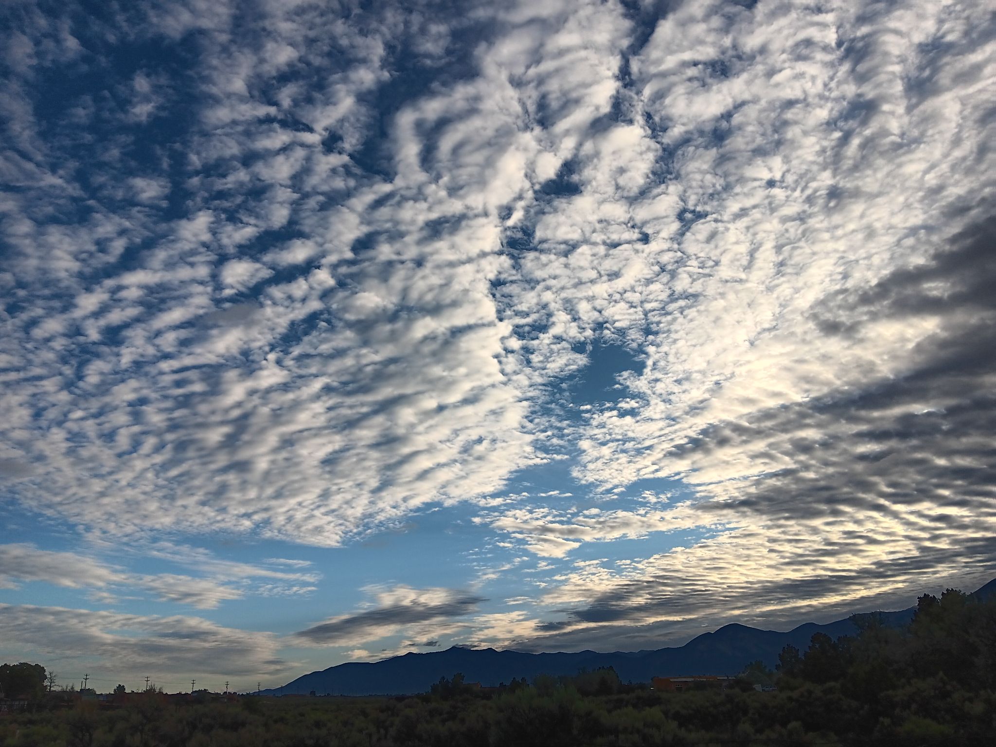 Community photo by Ms Teddy Campbell