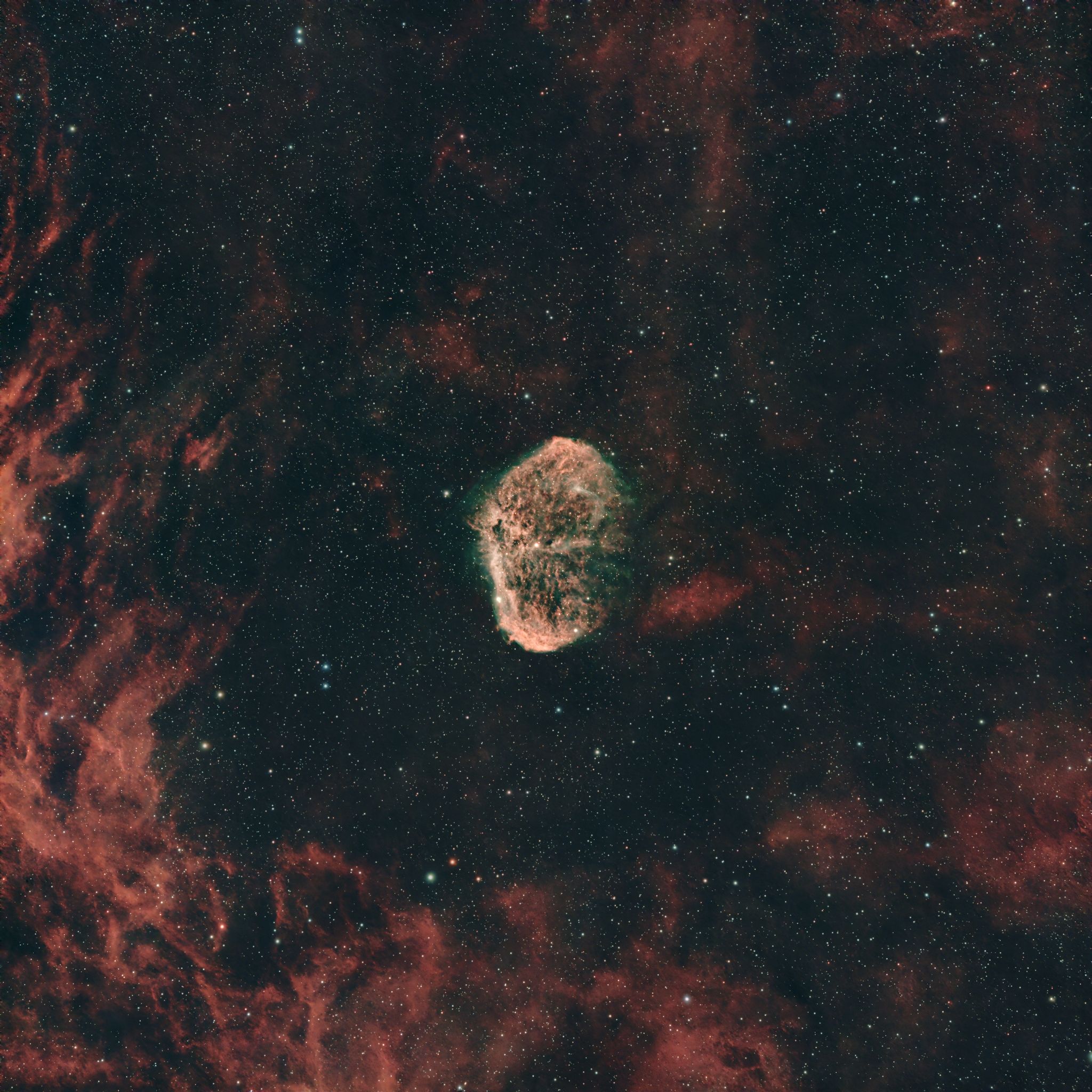 Community photo by Timothy Milligan | Sarasota, Florida, USA